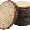 10pcs Natural Wood Slices for Crafts