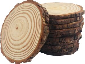 10pcs Natural Wood Slices for Crafts