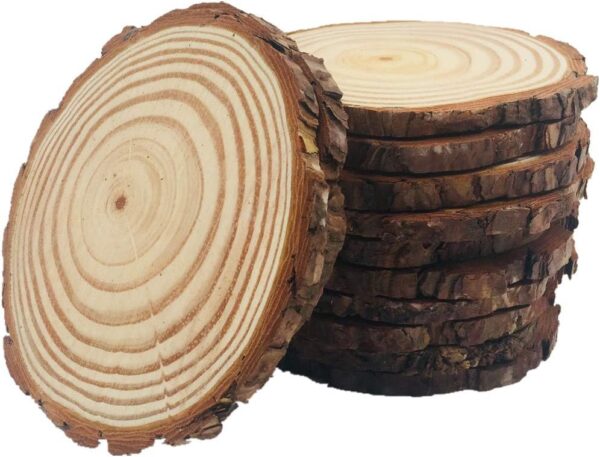 10pcs Natural Wood Slices for Crafts