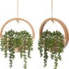 Floweroyal 2pcs Artificial Succulents Wall Decor