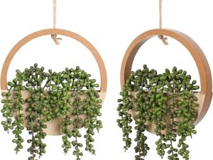 Floweroyal 2pcs Artificial Succulents Wall Decor