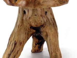 WELLAND Live Edge Tree Stump Stool